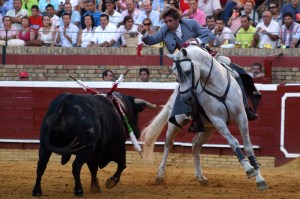 pablo-hermoso-cortas