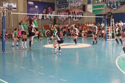 Voleibol 2
