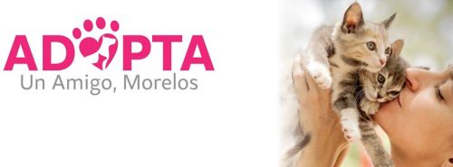 ADOPTA UN AMIGO