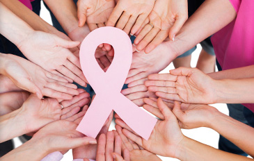 ROSA COLOR DE LA VIDA