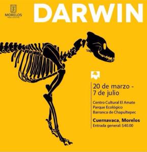 DARWIN