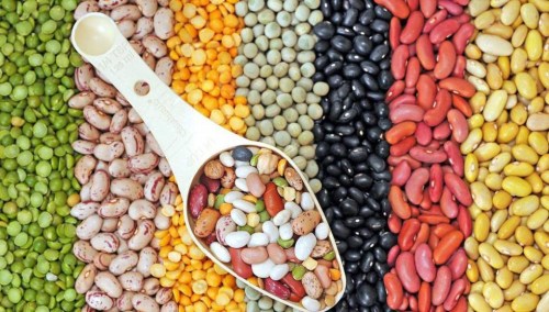LEGUMBRES CANADÁ