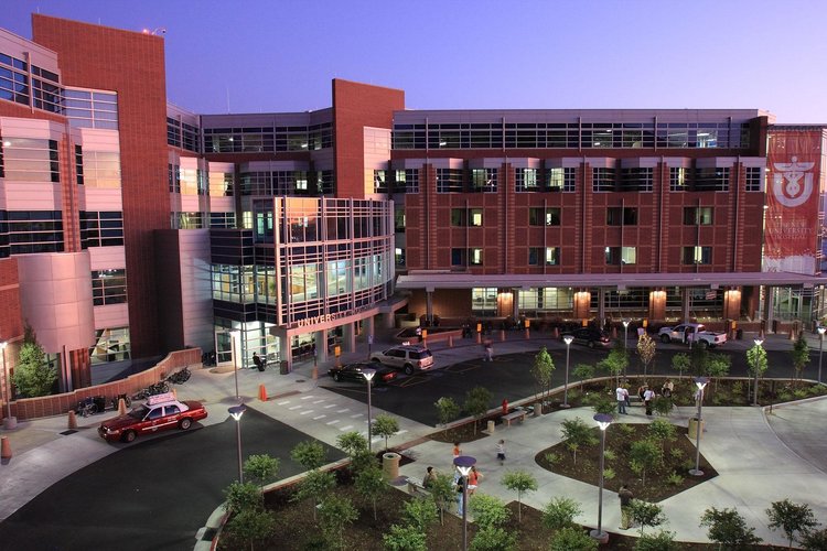 LIFE SCIENCES